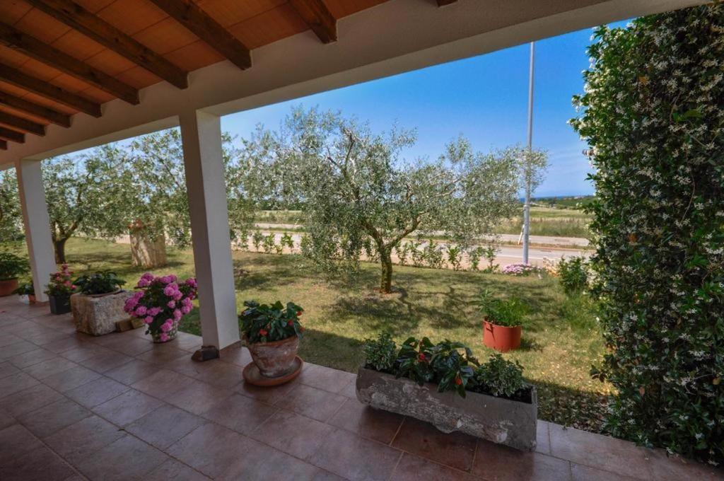 Appartement Angela à Novigrad Istria Extérieur photo