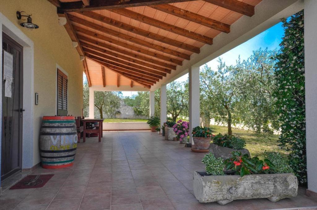 Appartement Angela à Novigrad Istria Extérieur photo