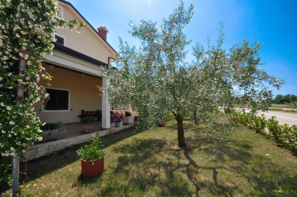 Appartement Angela à Novigrad Istria Extérieur photo
